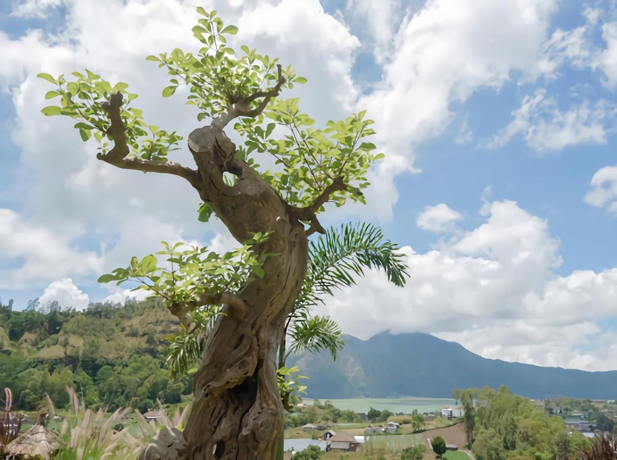 Batur Cliff Panorama Vila Baturaja  Exterior foto